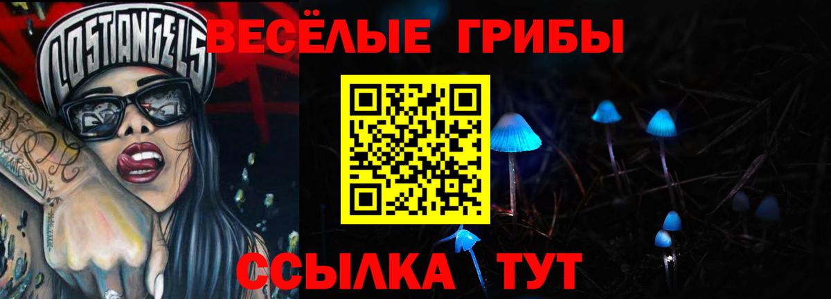 Псилоцибиновые грибы MAGIC MUSHROOMS  Вход с VPN  Учалы 